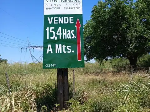 Campo de 15,4 Has EN VENTA en MANZANARES, Pilar