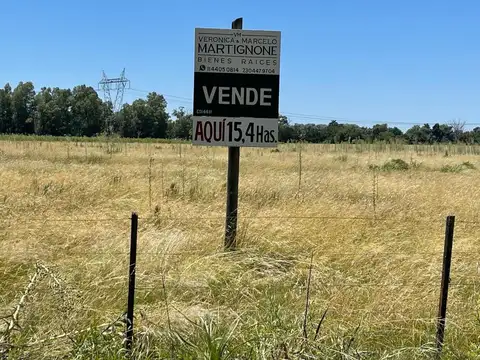 Campo De 15,4 Has En Venta En Manzanares