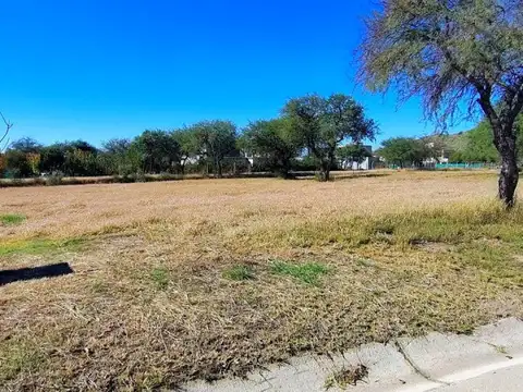 Terreno en Venta 20  mts Frente