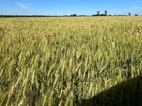 Terreno en Venta en Ezeiza, USD 30.000