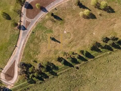 Mirabosques Cardales