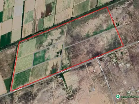 Oportunidad finca de 33.5 Has Productivas Lavalle