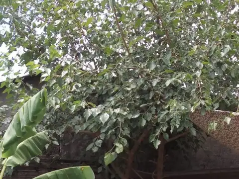 Casa en Venta en Rincon De Milberg, USD 120.000