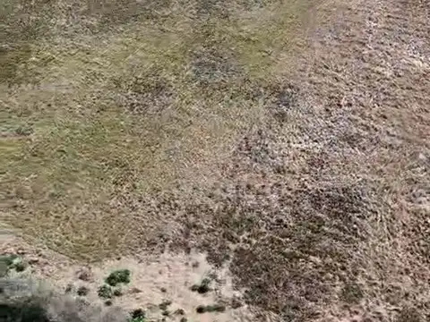 Hectáreas en venta en Arana