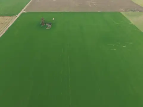 Campo agricola en Acebal con 31 hectareas