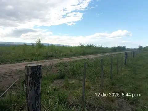 SE VENDE TERRENO DE 1 HA. EN SOLAR DE LOS REARTES