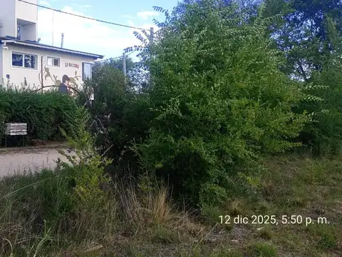 Terreno en Venta de 10200,0 m2