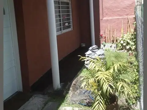 Campichuelo 2900