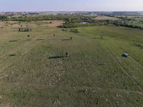Lotes en venta | colonia porvenir