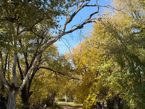 TERRENO EN VENTA EN ZAVALLA SANTA FE