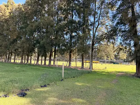 Terreno Campo  en Venta en Los Cardales, Exaltación de la Cruz, G.B.A. Zona Norte