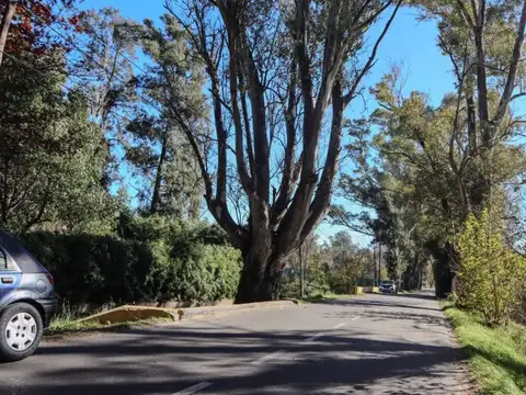 Casa en Alquiler 46 años