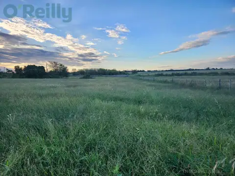 Venta chacra de 1 ha en Zelaya, Pilar, Buenos Aires