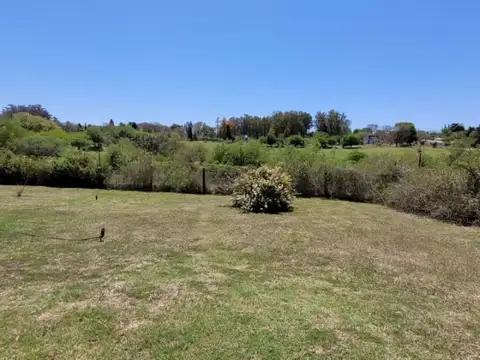 Minuanes 200 , Piso 0