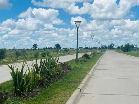 Juana de Arco al 5500