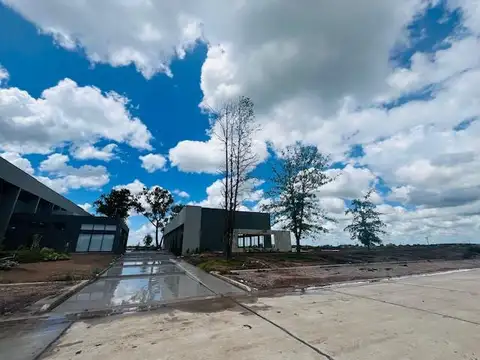 Juana de Arco al 5500