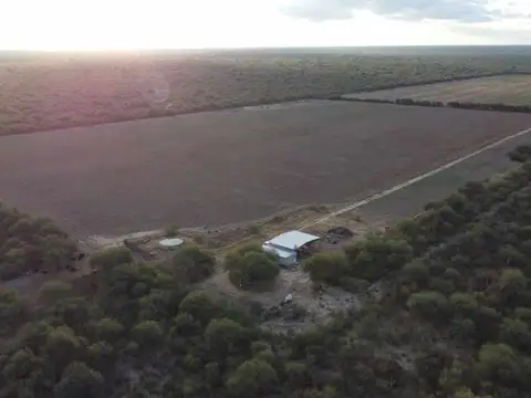 CAMPO EN VENTA 2150 HAS. GANADERO ZONA V. DOLORES