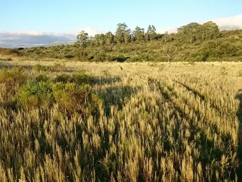 Terreno en Venta en La Falda, USD 8.925