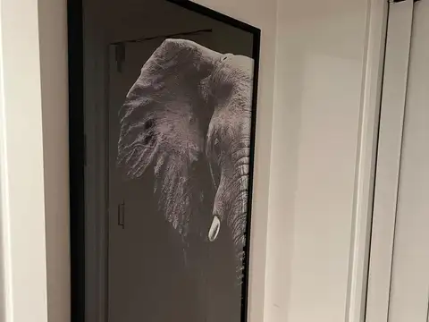 RODRIGUEZ PEÑA al 1200