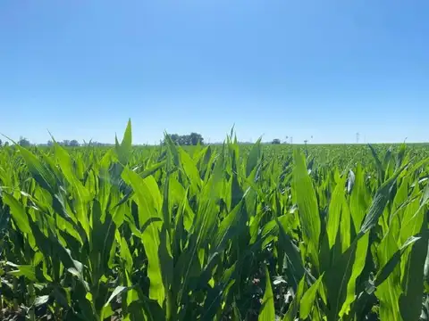 Ruta Nacional 8 - KM 200