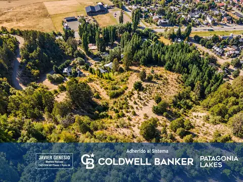 VENTA Lote/Terreno de 1,8 hectáreas apto desarrollo en acceso a Los Riscos, San Martín de los Andes