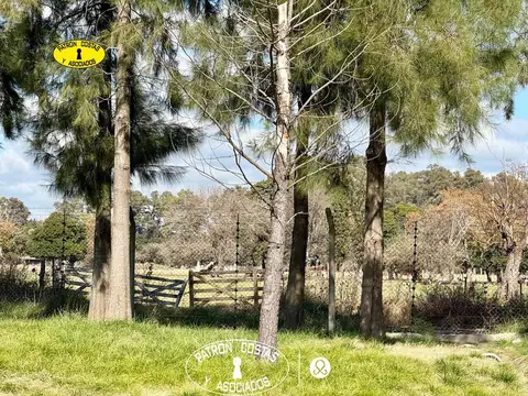 Terreno Residencial en venta en La asuncion