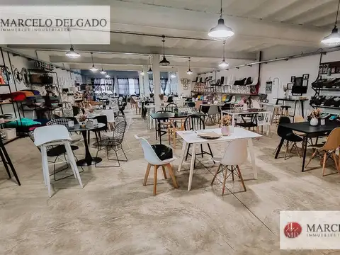 Vieytes al 1500