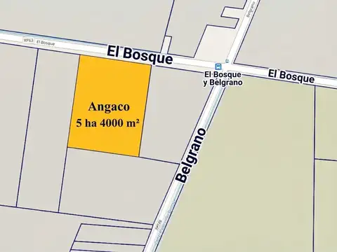 CALLE EL BOSQUE ANTES DE BELGRANO, ANGACO, SAN JUAN, ARGENTINA 100