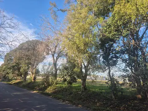 Terreno en Venta en Arana, USD 20.500
