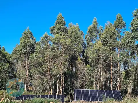 Terreno en Venta de 50000,0 m2