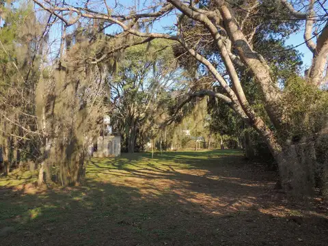 Terreno en Venta 46  mts Fondo