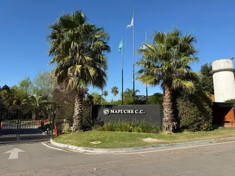 Mapuche 0