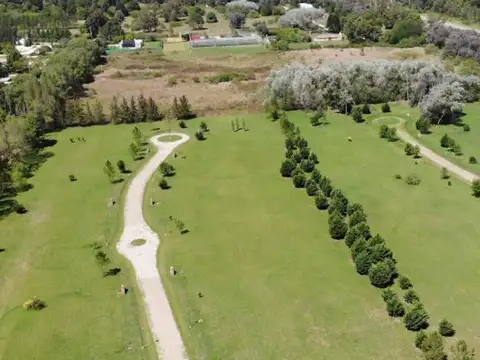 LOTE 17