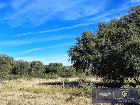Terreno en Venta en Nogoli, USD 35.000