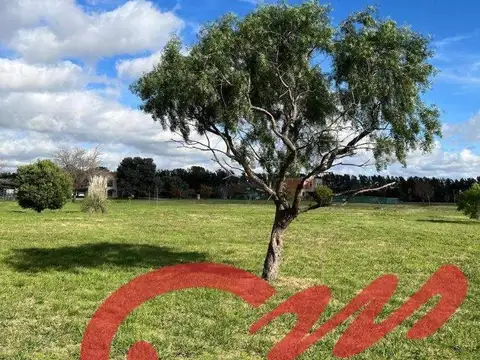 Terreno en Venta en Campana, USD 29.000