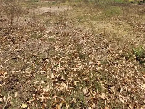 Terreno en Venta de 18473,0 m2