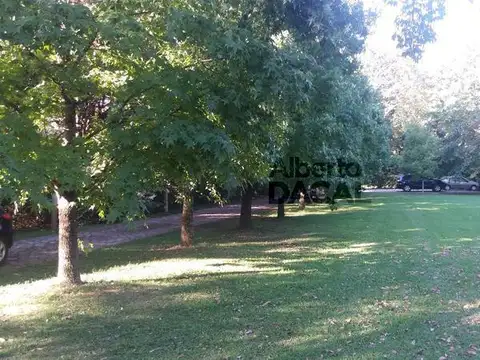 Terreno en Venta en 141/419 y 420 Villa Elisa - Alberto Dacal Propiedades