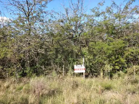 2 terrenos colindantes de 712m2 c/u