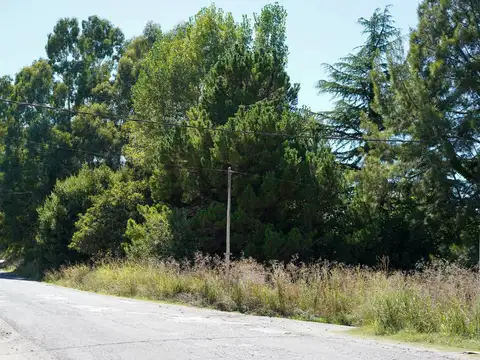 LOTE ZONA LA ELENA TANDIL