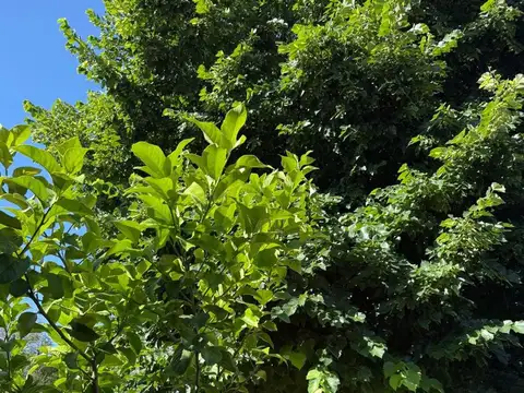 Casa en Venta en Moreno, USD 80.000