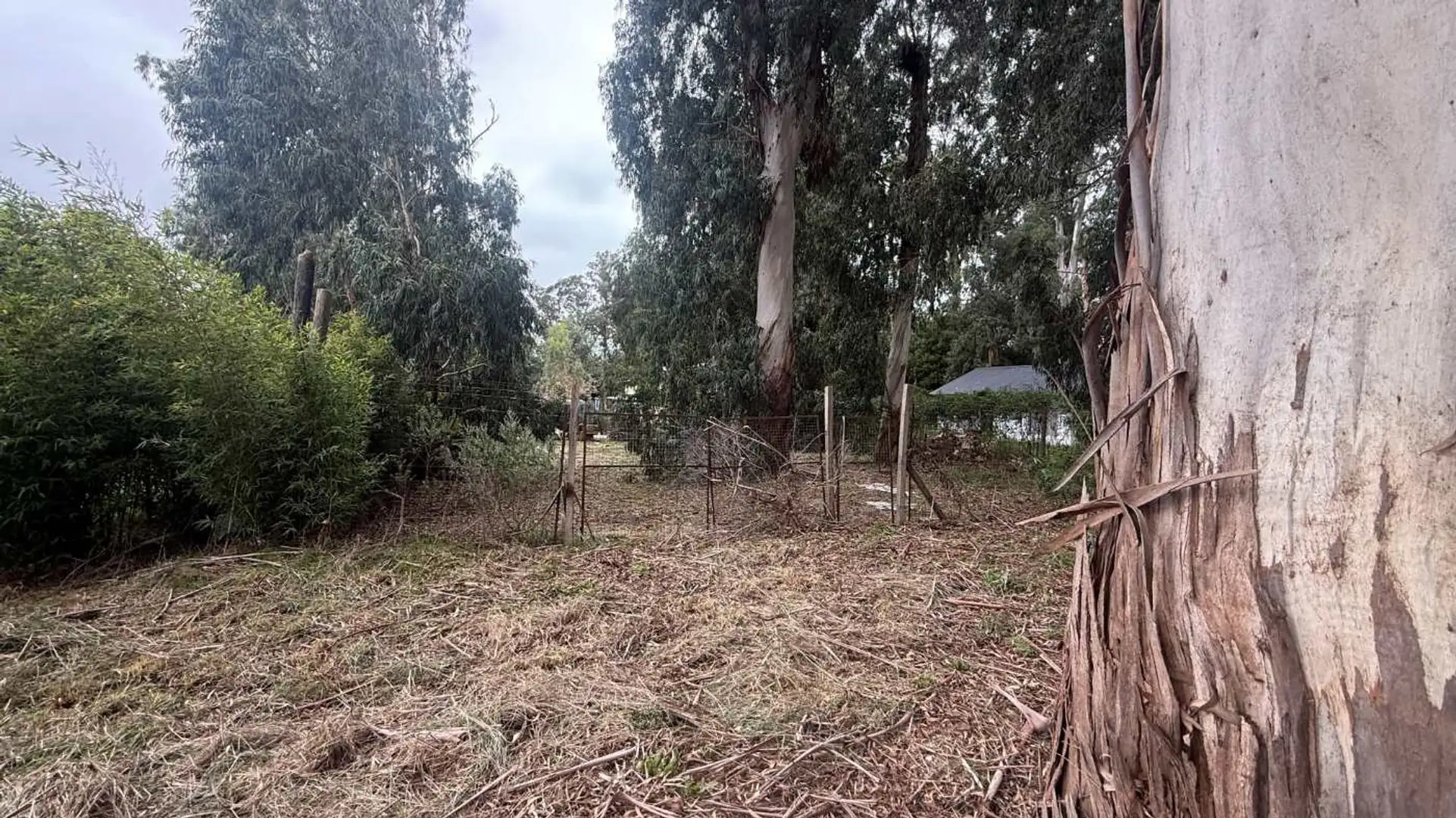 Venta de lote 375m² barrio Acantilados