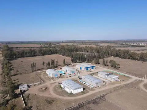 VENTA CAMPO 16HAS  FERREYRA FACTIBILIDAD INDUSTRIA