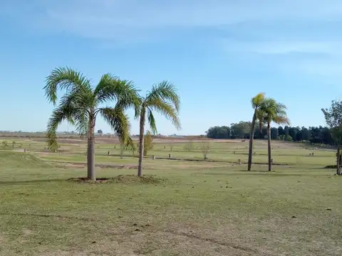 Terreno en Venta en Zárate, USD 19.500
