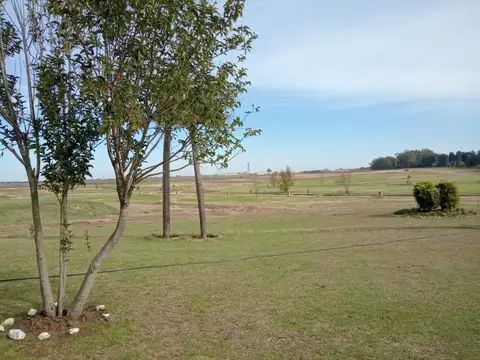Terreno en Venta 33  mts Fondo
