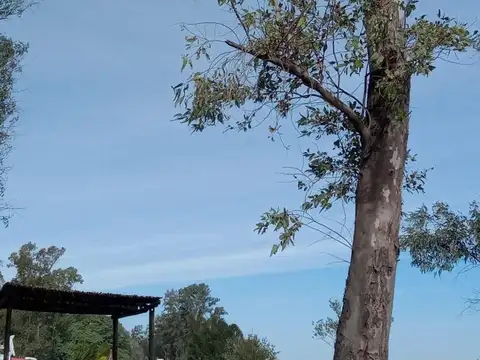 Zarate Golf Park