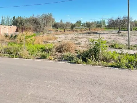 Terreno en Venta en Lujan de Cuyo, Luján de Cuyo