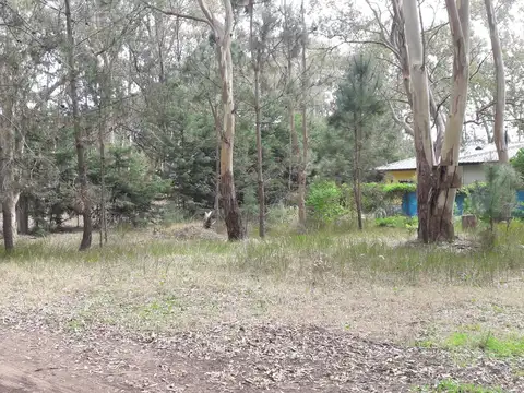 TUCUMAN ESQ. CALLE 7 , Piso -