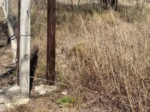 Se Vende Terreno en Cosquin