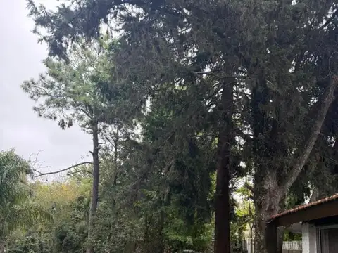 Terreno en Venta en Montecarlo, USD 77.000