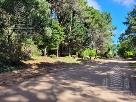 Terreno en Venta 46  mts Fondo